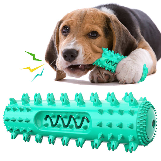 PetMart Teething Cleaning Dog Toothbrush Toy